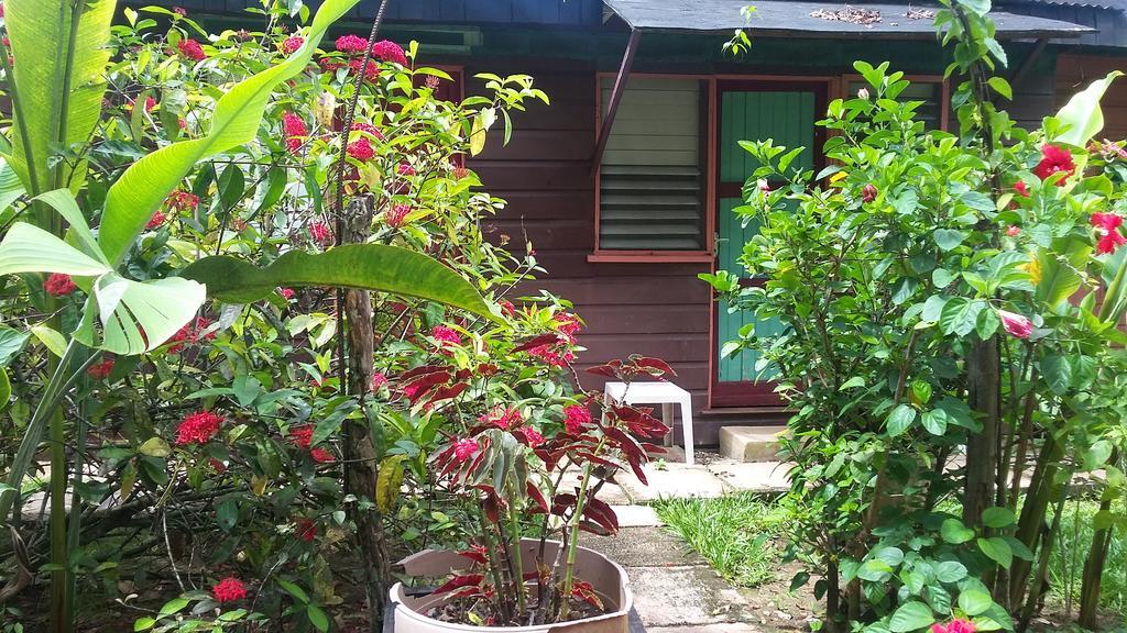 Secret Cabins At Firefly Beach Cottage Negril Chambre photo